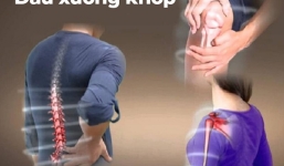 Tinh dầu thực vật Đại Phú An có tốt không?