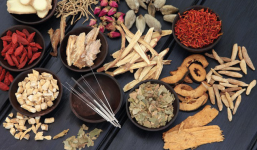 Oncolysin–Giải pháp đột phá trong phòng ngừa và hỗ trợ điều trị ung bướu