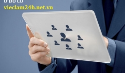 Tìm việc thành công cho ứng viên tại vieclam24h.net.vn