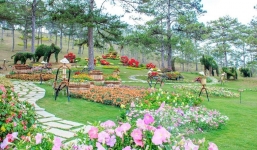 Lịch trình đi tour du lịch Đà Lạt 1 ngày chi tiết nhất