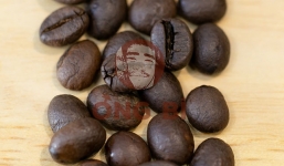 Cà phê nguyên chất rang mộc khi pha phin cần lưu ý gì