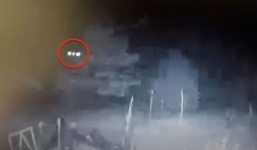 Người đàn ông quả quyết thấy người ngoài hành tinh đang cho gà ăn trong đêm 