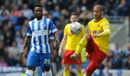 Nhận định Watford vs Brighton (22h 12/02/2022) vòng 25 Ngoại hạng Anh: Quyết tâm của The Hornets