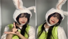 Từ sinh viên năm ba đến Live Creator: Câu chuyện thành công của Cẩm Ly trên TikTok Live