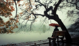 Miền Bắc đón không khí lạnh tăng cường từ đêm nay