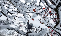 Cận cảnh băng giá phủ trắng trên đỉnh Fansipan