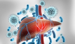 Bác sĩ nhi lưu ý phòng bệnh viêm gan bí ẩn cho trẻ nhỏ