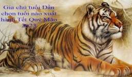 Gia chủ tuổi Dần xuất hành hướng nào trong Tết Nguyên đán Quý Mão 2023 là tốt nhất?