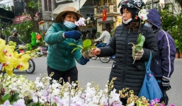 Chợ hoa phố Hoàng Hoa Thám nhộn ngày cuối năm