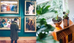 Dọn ngay 3 vật hay đặt trong phòng khách này để bảo vệ sức khỏe, tài vận