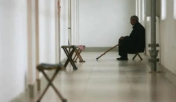 Phẫn nộ con trai bỏ mặc cha già, đến lúc qua đời cũng không an táng: 'Nó thà chăm một con chó hơn là chăm tôi'