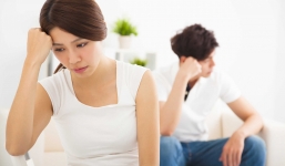 Hy hữu: Đệ đơn ly hôn, hai vợ chồng trẻ không tranh giành tài sản mà chỉ tranh chấp quyền nuôi... chó