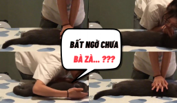 Sinh viên y lấy mèo cưng ra thí nghiệm hồi sức tim phổi, cái kết khiến nhiều người ‘choáng váng’