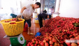 Thương nhân Việt Nam còn chậm khi tìm hiểu thị trường Trung Quốc