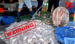 Mực - bạch tuộc vào mùa, rẻ đến mấy cũng không được mua những loại này: Số 3 độc gấp 50 lần rắn hổ mang