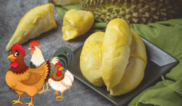 Rần rần trend ăn gỏi gà sầu riêng, nhưng ít ai biết tác hại khôn lường của thức quả 'siêu mùi' 