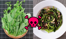 Mùng tơi, rau đay, rau dền ăn đưa cơm, nhưng 99% nội trợ nấu sai cách: Cực độc, bào mòn sức khỏe