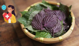 Tía tô: Loại rau 'rẻ như bèo' ngoài chợ nhưng là thuốc quý đuổi bệnh tật, đối tượng này đặc biệt chú ý