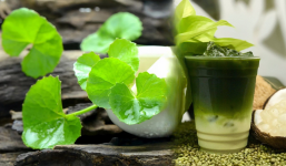 Rau má: Thực phẩm 'quốc dân' ngày hè, công dụng tuyệt vời với sức khỏe, nhưng đối tượng này cần chú ý