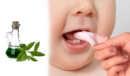 Cỏ mực: Loại cây mọc dại ven đường nhưng là vị thuốc quý, người bạc tóc - suy nhược phải biết