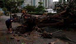 Bão số 3 Saola suy yếu thành áp thấp nhiệt đới, xu thế thời tiết sẽ như thế nào?