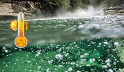 Những dòng sông bí ẩn khiến giới khám phá kinh ngạc: Sông bỏng, sông chảy ngược, sông có mắt