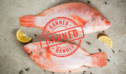 Những loại cá nên né xa khi đi chợ, mua về hại sức khỏe: Gia đình có trẻ nhỏ đặc biệt lưu tâm