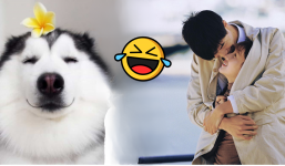 Những nghề kỳ lạ nhất thế giới ít ai biết đến: Viết truyện cho thú cưng, dạy yoga cho chó, trùm cuối mới độc đáo