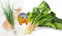 Sai lầm lớn nhất cuộc đời là bỏ rễ 12 loại rau sau, bổ ngang nhân sâm, biết đến ai cũng há hốc vì thần kỳ