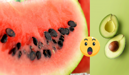 Hạt của quả này tốt ngang nhân sâm mà bao người bỏ, từ chối cơ hội trường thọ: Biết công dụng mà tiếc