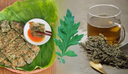 Loại cây mọc dại hình dạng xấu nhưng được xem là lộc 'trời cho', phơi khô được ví như thần dược