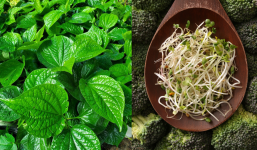 Những loại rau không nên nấu canh, đun sôi thành chất độc hại sức khỏe: Số 3 nhiều người ăn