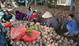 Loại củ rẻ bèo nhưng tốt hơn thịt bò, đổ đống ở chợ mà chị em lướt qua: Mùa đông phải thử!