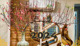 Tết 2024: Sai lầm khi chơi hoa đào 'chưa hết mùng đã rũ rượi', người trồng lâu năm chỉ rõ nhiều nhà mắc