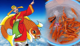 Năm 2024 cúng ông Công ông Táo vào ngày nào, lưu ý 'giờ đại cát, ngày đại an' để năm mới khởi sắc