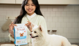 Giải mã 5 điều người nuôi thú cưng hiện đại cần quan tâm khi chọn thức ăn cao cấp cho thú cưng
