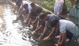 Hình ảnh 'hot' MXH: 7 người đàn ông làm chung một việc lạ, ai xem cũng phải trầm trồ