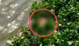 Bình Dương: Bàng hoàng phát hiện thi thể nữ giới trôi trên sông, bụng có nhiều vết đâm