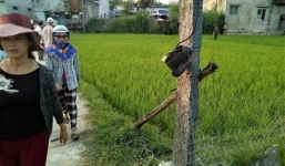 Kéo điện ra đồng bẫy chuột, vợ bị giật tử vong, chồng nguy kịch