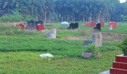 Nghi bị ma nhập, con trai kéo mẹ ra nghĩa trang cạnh mộ bố rồi sát hại dã man