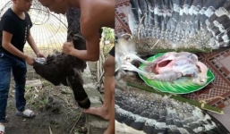 Công an xác minh thông tin kênh YouTube đăng tải clip làm thịt chim quý