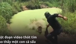 Giật minh khoảng khắc cá sấu đói ăn nhảy lên bờ suýt 'sực' mất tay người