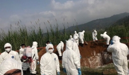 Nóng: Hà Nội phát hiện thêm 3 quận, huyện có ổ dịch tả lợn châu Phi