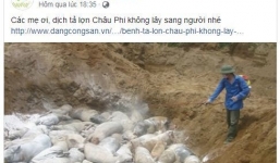 Chủ shop tung tin sai lệch về dịch tả lợn châu Phi bị phạt 20 triệu đồng