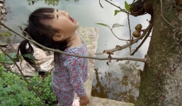 Dân mạng bị hạ gục trước sự đáng yêu của cô bé ngây thơ quyết 'há miệng chờ sung' vì tin lời chị gái