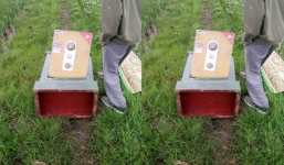 Hải Phòng: Trộm đột nhập nhà dân bê két ra ruộng nhưng ngỡ ngàng phát hiện ‘không có gì’