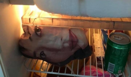 Anh chồng chết ngất vì vợ để nguyên 1 cái 'đầu người' trong tủ lạnh