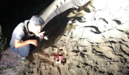 Vụ bé trai 7 tuổi tử vong do đàn chó tấn công: Ai là người chịu trách nhiệm?