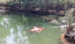 Hải Phòng: Vào chùa xin ngủ nhờ, hai bà cháu tử vong thương tâm dưới ao