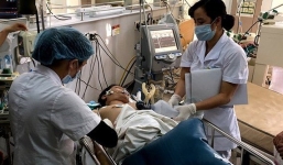 8 người thương vong sau khi uống rượu pha nước lá ngón